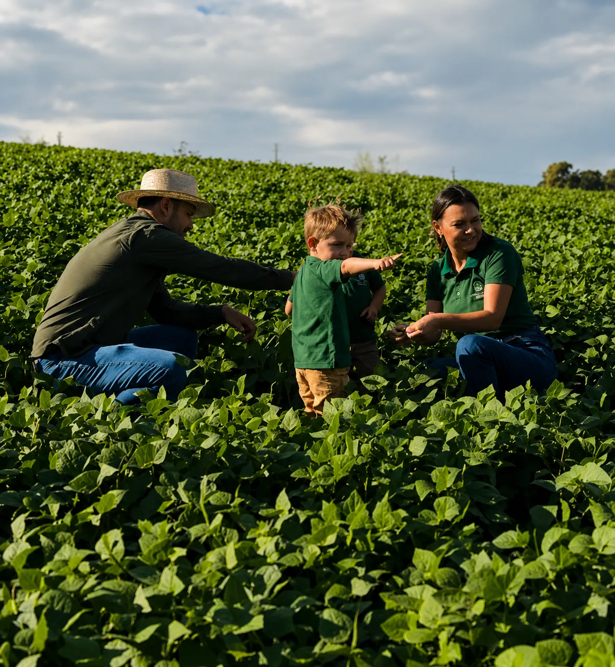 Lavoura acompanhada pela consultoria agrícola on-line da Bridi Agro Group
